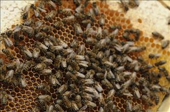 Rota Yapım Foto Galeri