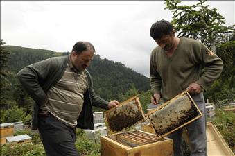 Rota Yapım Foto Galeri