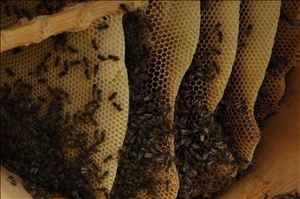 Rota Yapım Foto Galeri